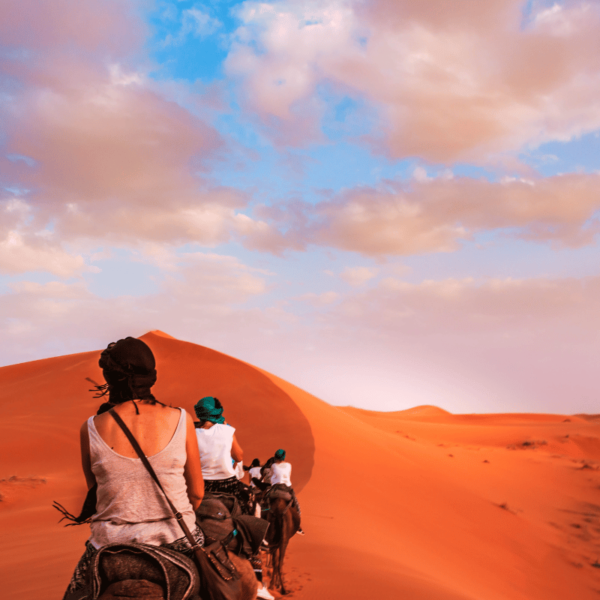 Liwa Desert Tour